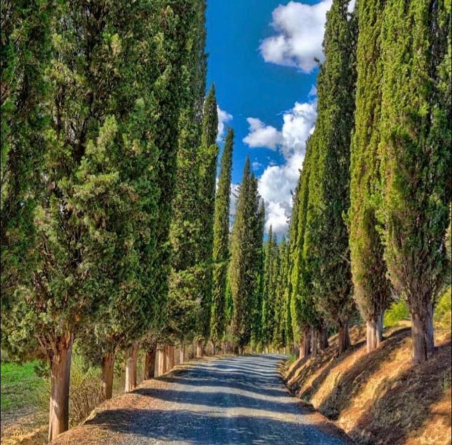Agriturismo Fattoria Il Piano - Appartamento Focolare - Сан-Джиминьяно Экстерьер фото